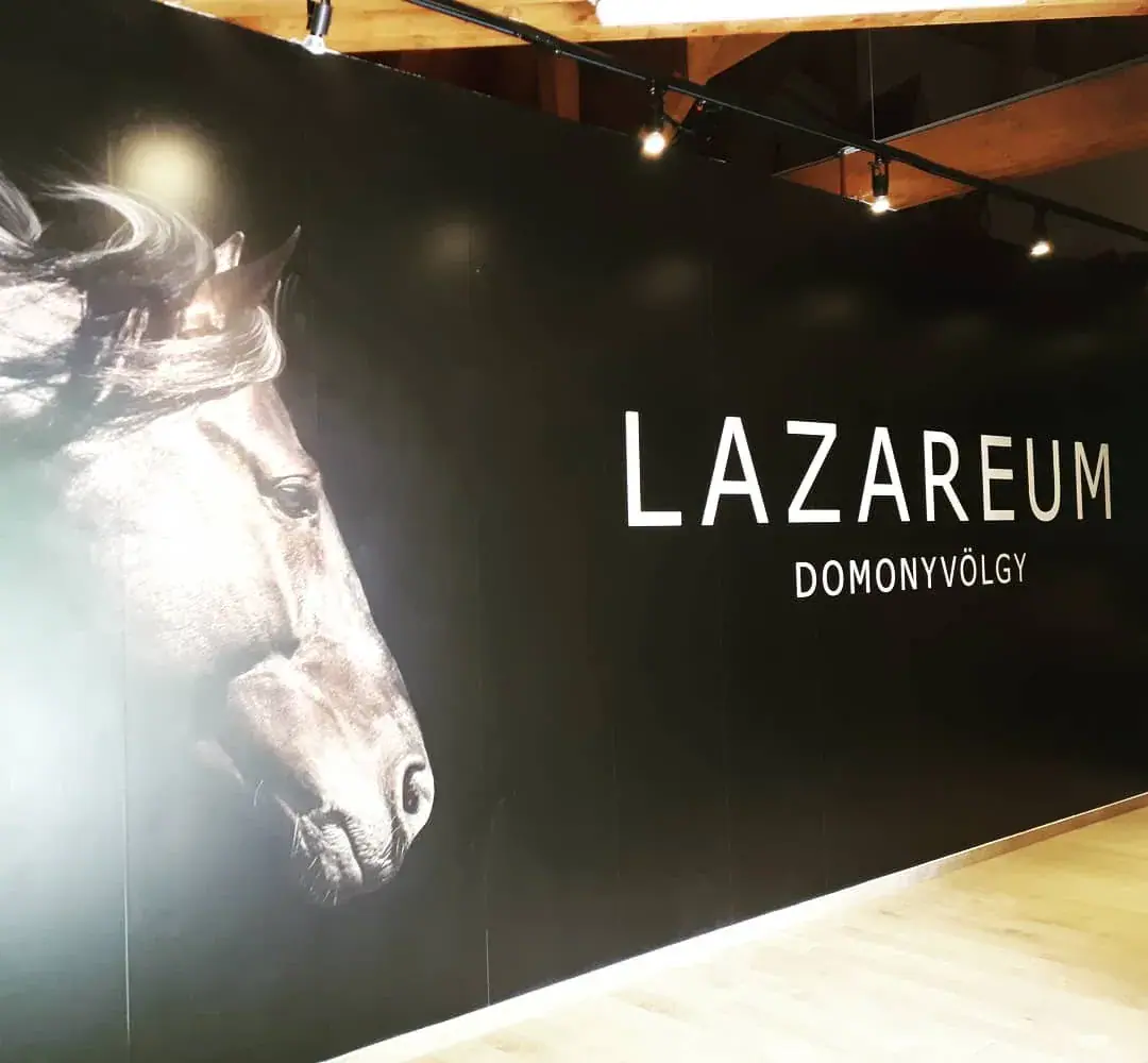 Lázár Lovaspark — Rendezvényhelyszín, Domony