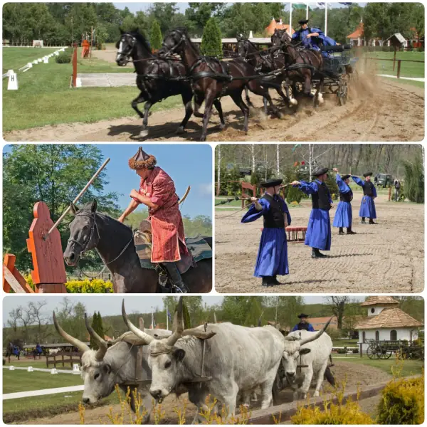 Lázár Lovaspark — 3. kép