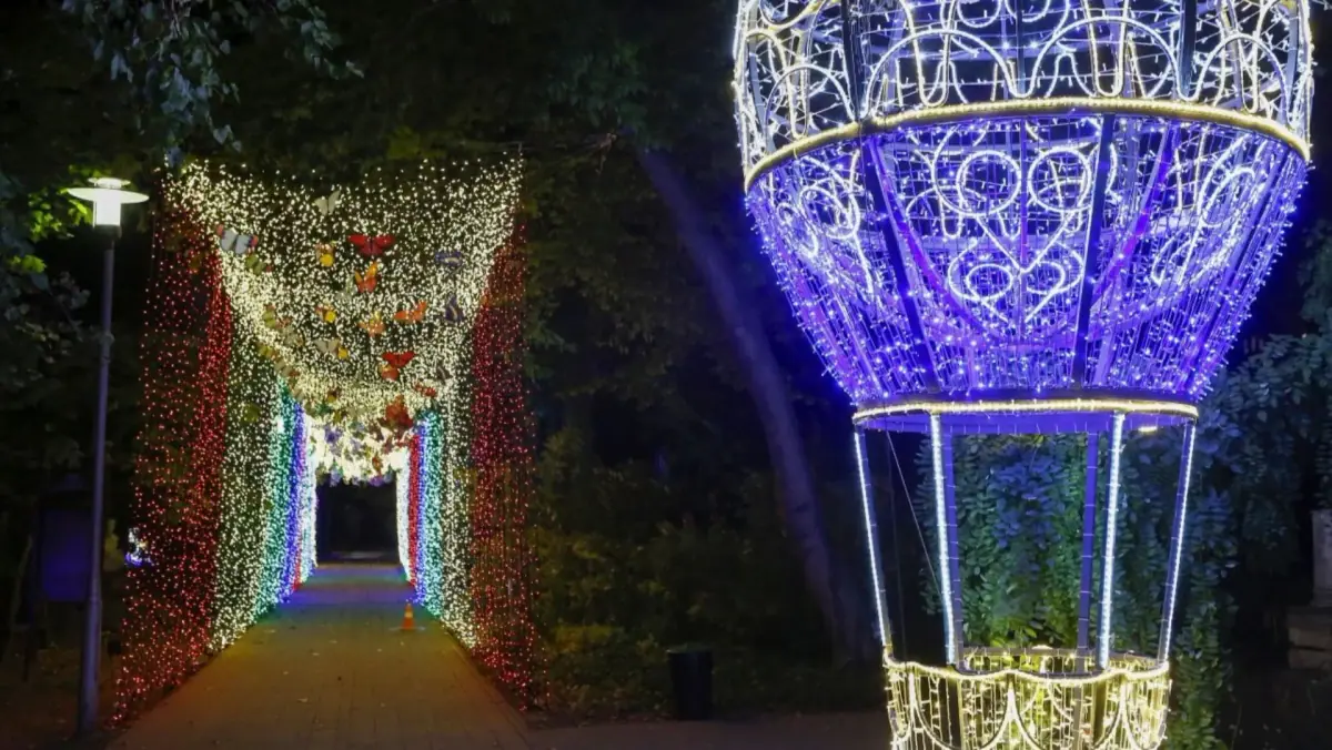Garden of Lights