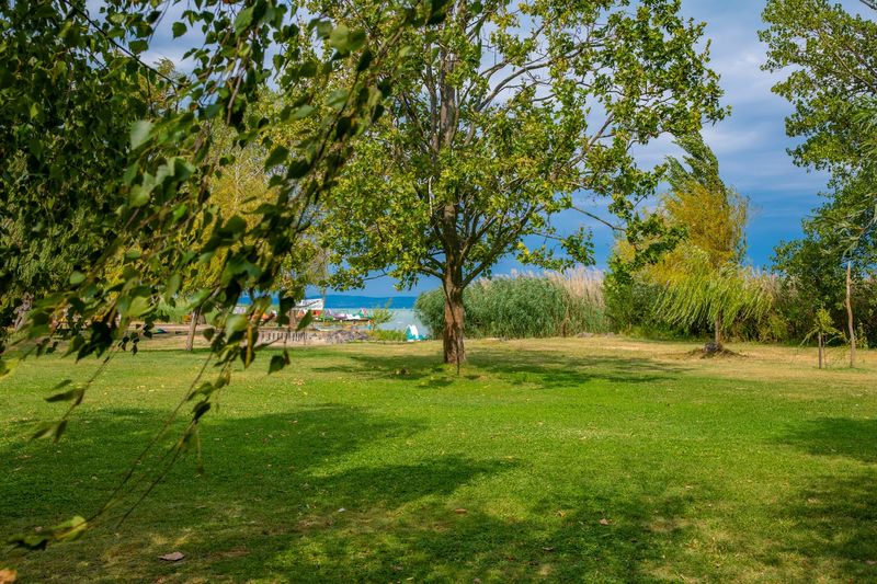 Holiday Resorts Balatonszárszó — 21. kép