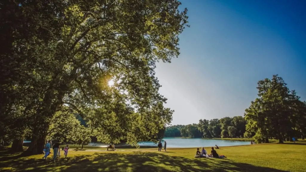 Beethovennel a szabadban – Martonvásár