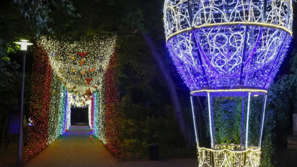Garden of Lights